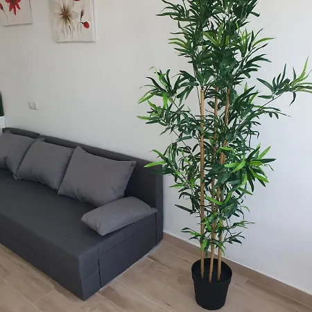 Apartament In Front Of The Sea * Torremolinos